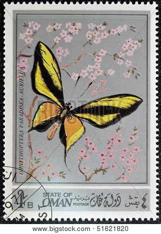 stamp printed in Oman shows a Butterfly Ornithoptera Paradisea-auriflua