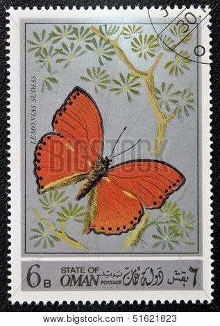 stamp printed in Oman shows a Butterfly Lemonias Sudias