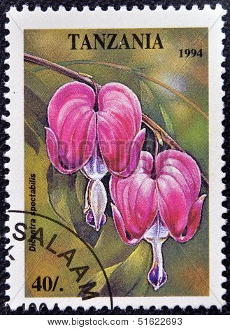 A stamp printed in Tanzania dedicated to tropical flowers shows dicentra spectabilis