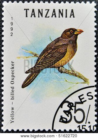 A stamp printed in Tanzania shows yellow - billed oxpecker