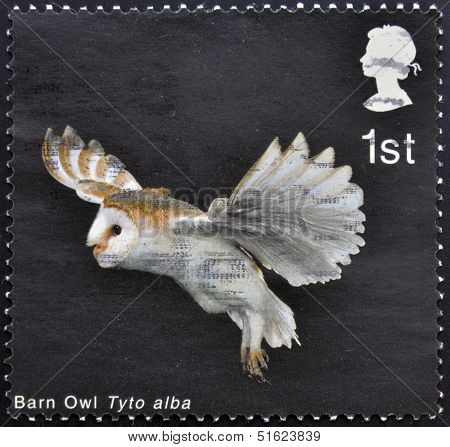 A stamp printed in Great Britain shows Barn Owl with extended Wings and Legs down