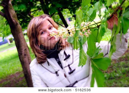 Fille et châtaignier