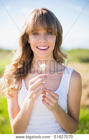 Smiling young woman holding dandelion while having a walk on sunny day