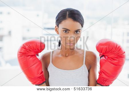 Serious competitive model with boxing gloves posing in bright room at home