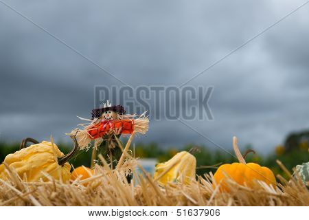 Halloween Scarecrow