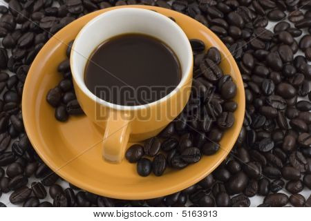 コーヒー マニア