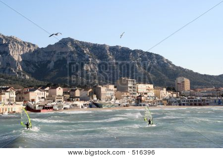 Windsurfer