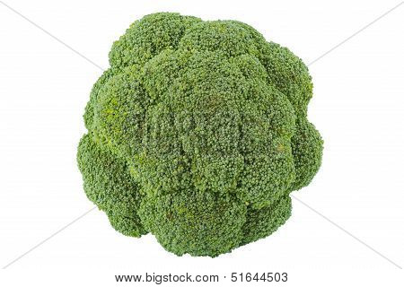 Broccoli
