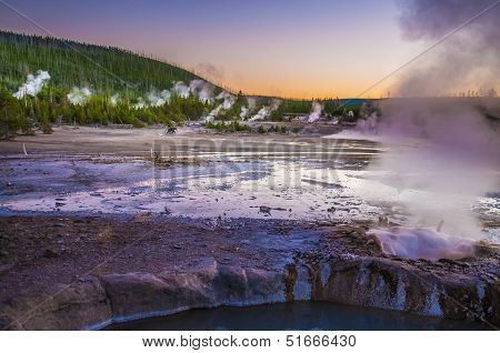 Bear In Norris Geyser Basin At Sunset