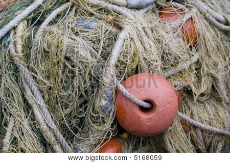 Fishtrap #1