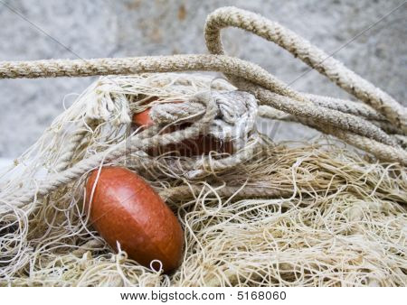 Fishtrap #2
