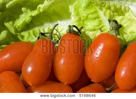 Domates ve salata #3