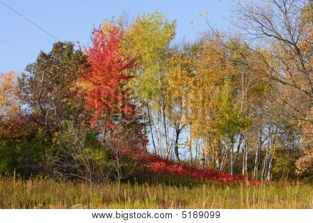 Colore di autunno si fonde con la terra