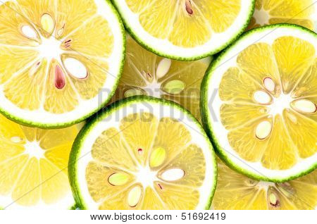 Citrus Background