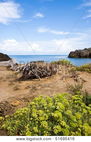 The beach of Vassilikos in Zakynhtos Greece