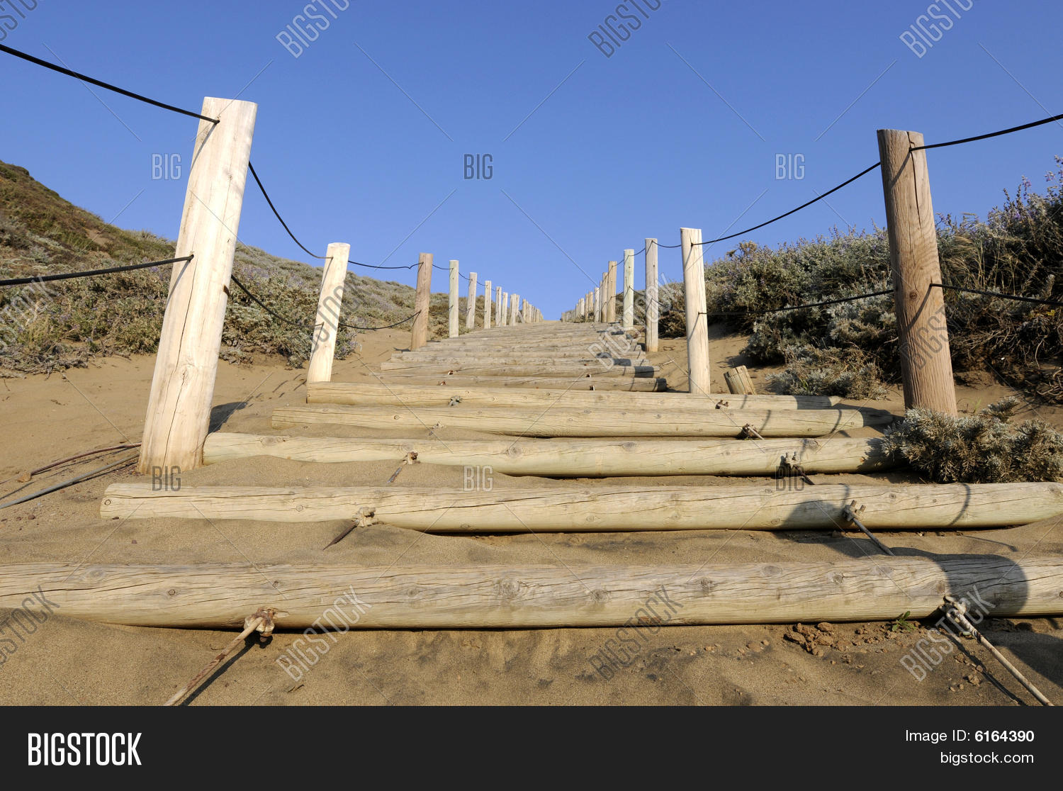 Image Preview