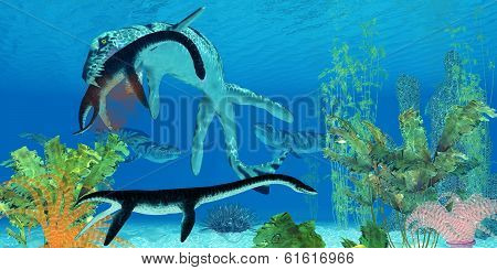 Dakosaurus Marine Reptile