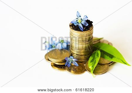 gold coins, finance