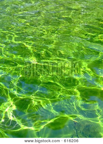 Groene vloeistof