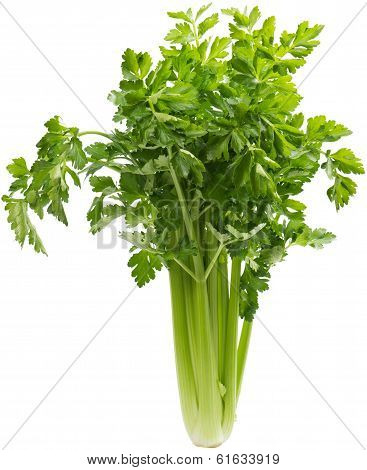 Celery
