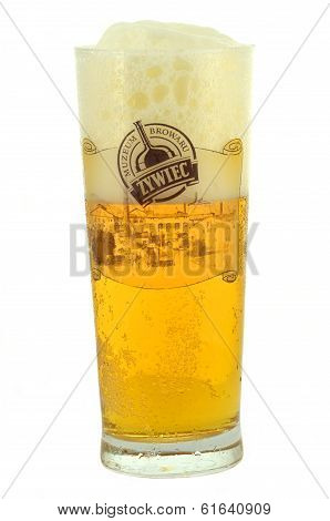 Zywiec beer in a glass isolated on white background