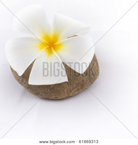 Isolated Of The Balance Stones With Frangipani Flower Is Zen For Spa On White Background