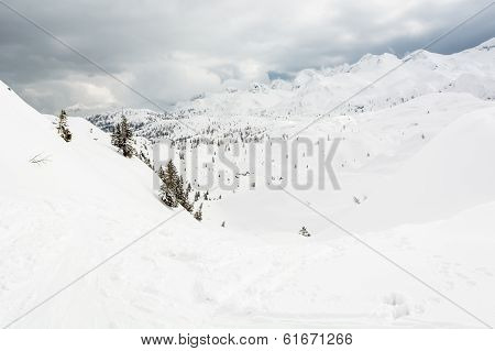 Ski Tracks Running Downhill