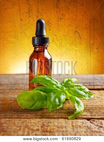 Basil organic essential oil use for food or aromatherapy