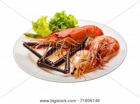 Giant Freshwater Prawn And King Prawns