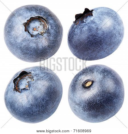 Collection Of Blueberry Berry Isolated On White