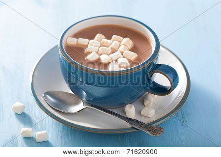 hot chocolate with mini marshmallows