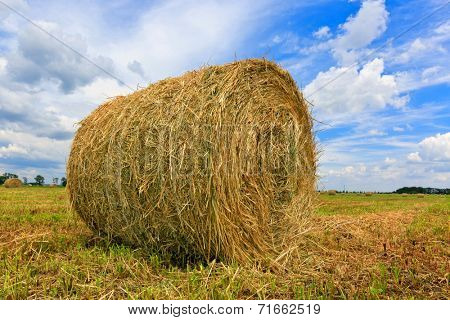 Hay rolls on agricultural meadow