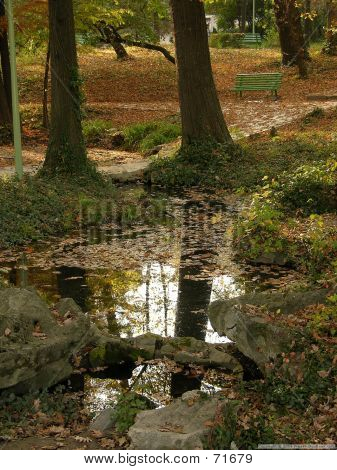 公園の池