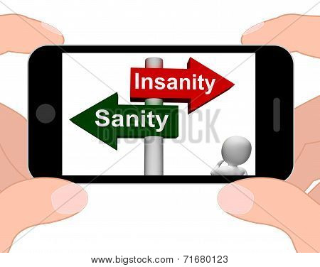 Insanity Sanity Signpost Displays Sane Or Insane