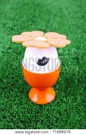 Edd in egg cup on green background