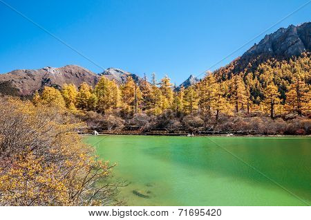 Colorful Autumn and lake
