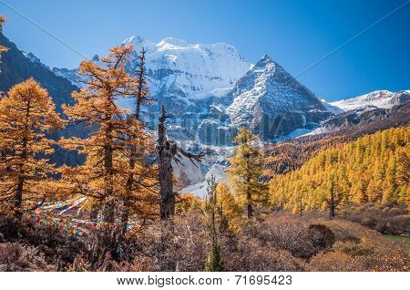 Colorful Autumn landscape