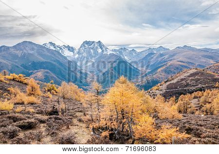 Mountain Autumn Landscape