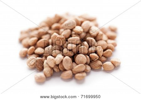 Sarpgandha Seeds (Rauvolfia serpentina)