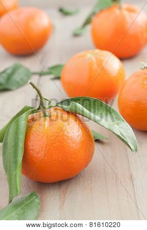 tangerines with leaves