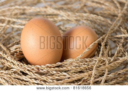 Eggs