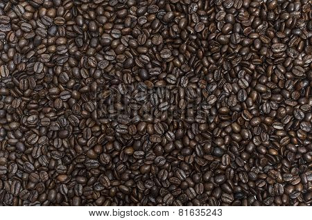 roasted coffee beans