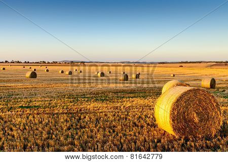 Haystock