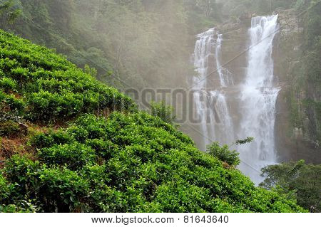 Ramboda Falls In Sri Lanka