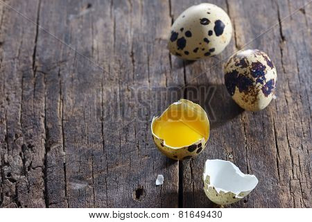 Quail Eggs