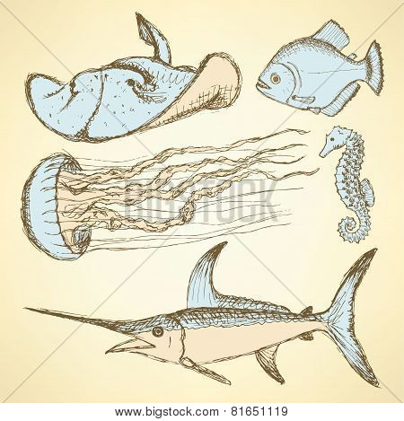 Sketch Sea Creatures In Vintage Style