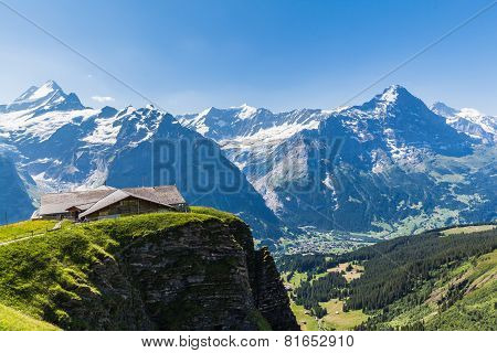 Panorama View Of Schreckhorn, Fiescherwand, Eiger