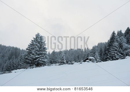 Winter scenery