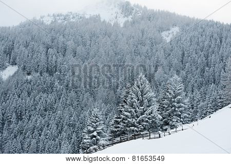 Winter scenery