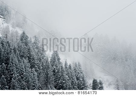 Winter scenery